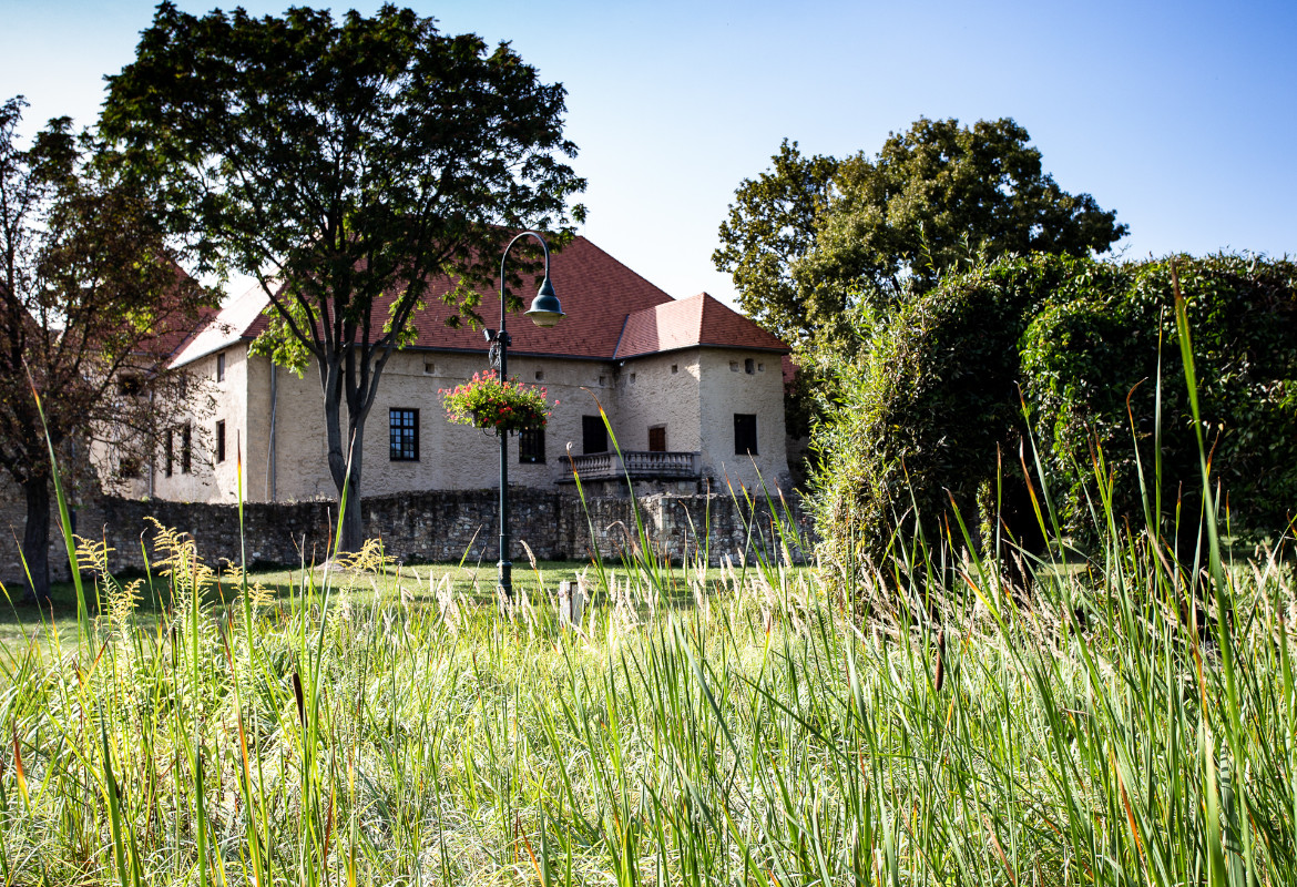 Castle garden